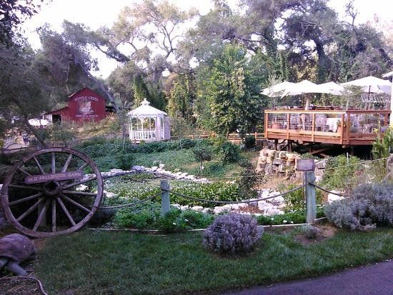 Myrtle Creek Botanical Gardens & Nursery